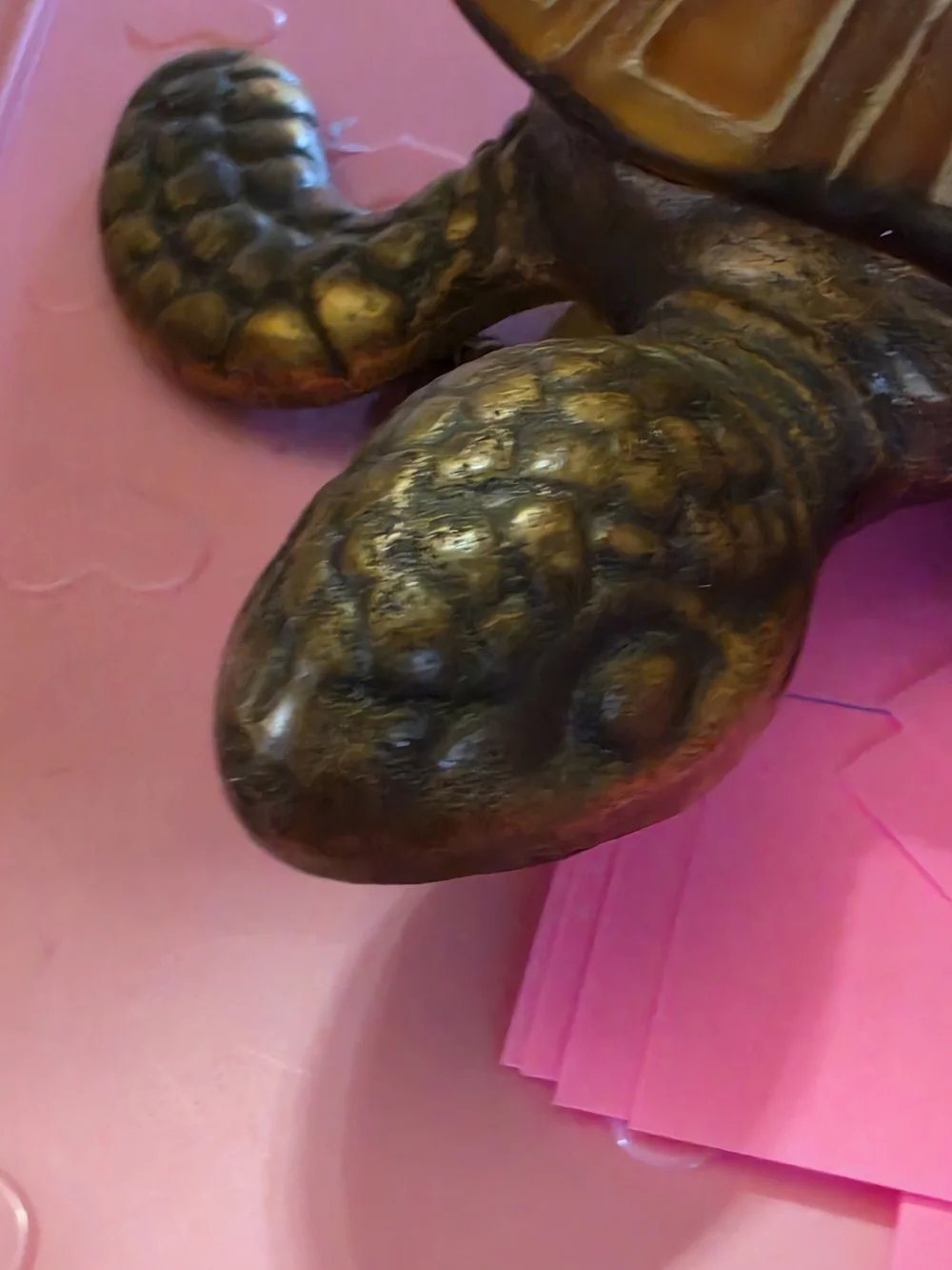 No Label vintage turtle